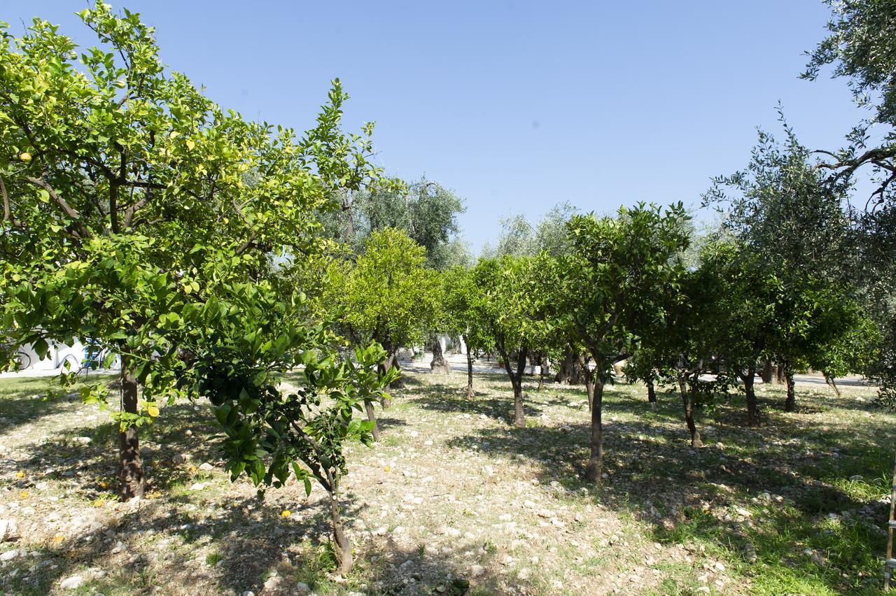 Tenuta Santa Maria Mattinata Exterior photo